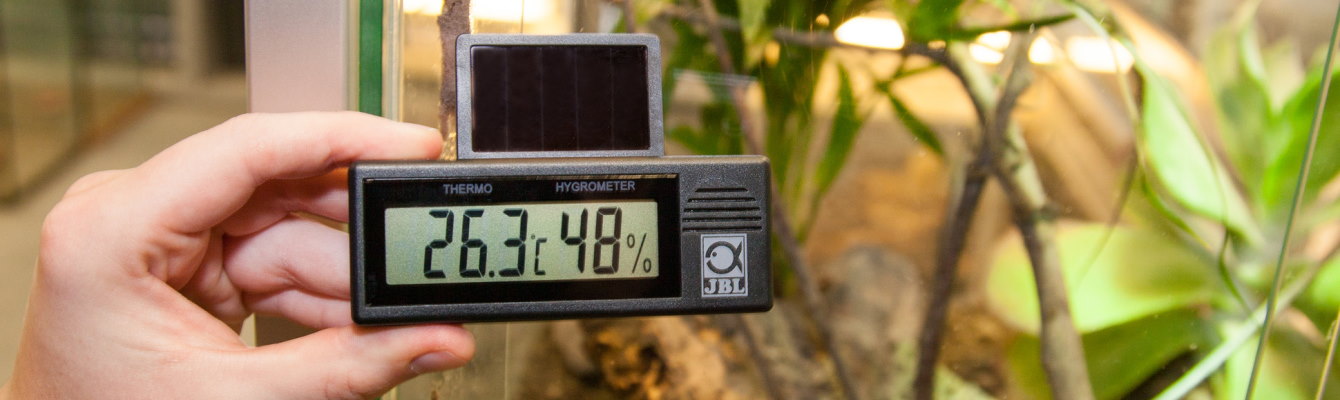 Измерение влажности гигрометром